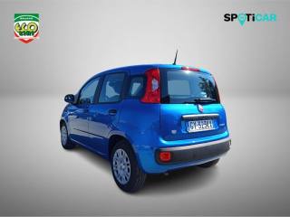 FIAT Panda usata, con Climatizzatore