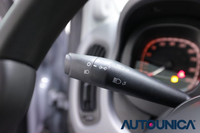 FIAT Panda usata, con Bracciolo