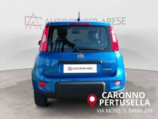 FIAT Panda usata, con Alzacristalli elettrici