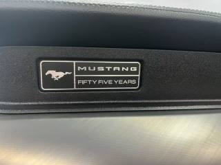 FORD Mustang usata, con Fendinebbia