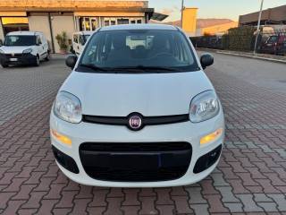 FIAT New Panda usata, con Airbag laterali