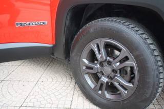 JEEP Renegade usata, con Airbag testa