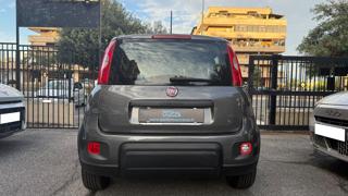 FIAT Panda usata, con Volante multifunzione