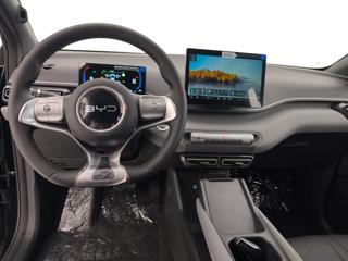 BYD Dolphin Surf usata, con ESP