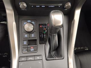 LEXUS NX 300h usata, con USB