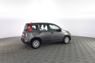 FIAT Panda usata 2