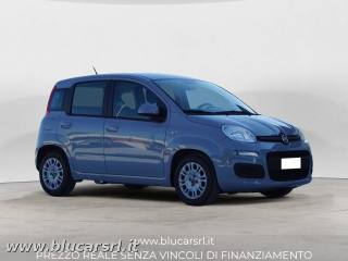 FIAT Panda usata 1