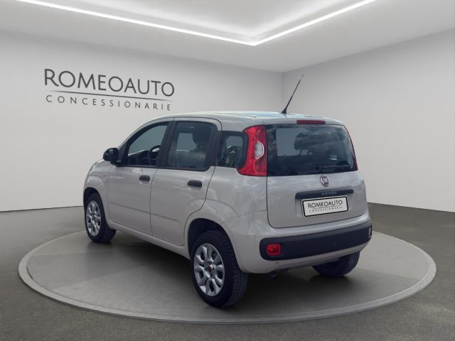 FIAT Panda usata, con Airbag Passeggero