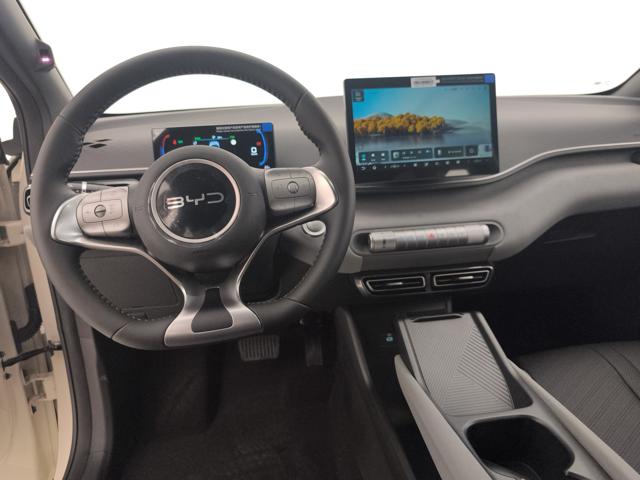 BYD Dolphin Surf usata, con ESP