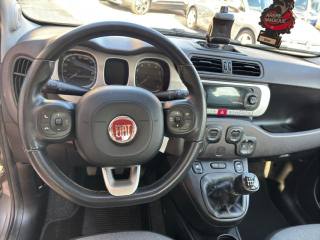 FIAT Panda Cross usata, con Antifurto