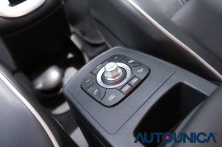 RENAULT Scenic usata 31