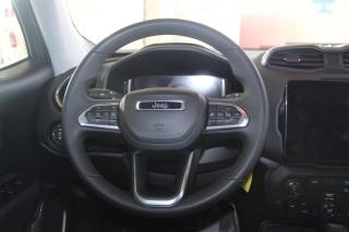 JEEP Renegade usata, con Cruise Control