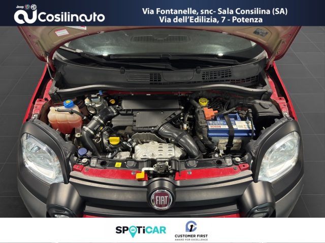 FIAT Panda Cross usata, con Volante multifunzione