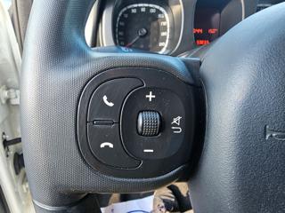 FIAT Panda usata, con Volante multifunzione
