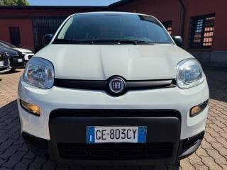 FIAT Panda usata, con Airbag laterali