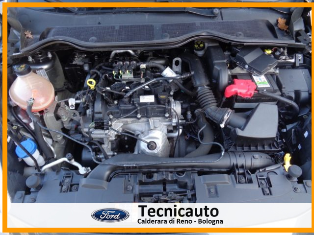 FORD Fiesta usata 21