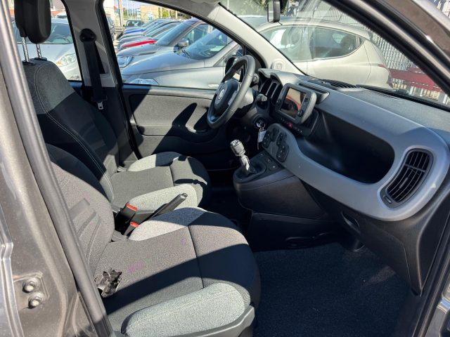 FIAT Panda Cross usata, con Climatizzatore