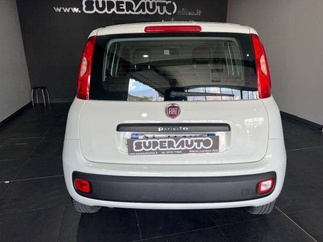 FIAT Panda usata, con Alzacristalli elettrici