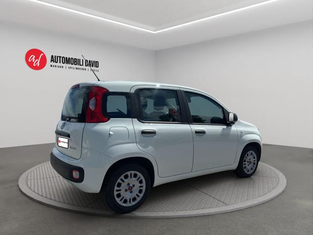 FIAT Panda usata, con Airbag Passeggero