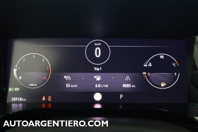 OPEL Grandland usata, con Cronologia tagliandi