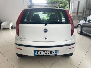 FIAT Punto usata, con Cerchi in lega