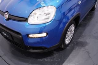 FIAT Panda usata 24