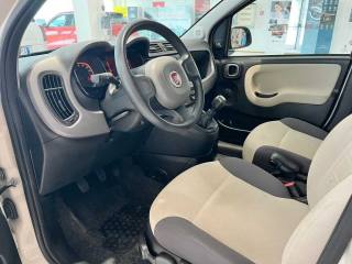 FIAT Panda usata 12