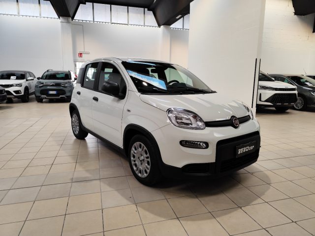 FIAT Panda usata, con Airbag Passeggero