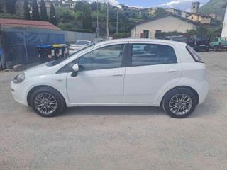 FIAT Punto usata, con Cerchi in lega