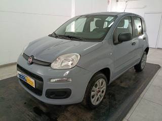 FIAT Panda 0.9 t.air t. natural power Easy 80cv my19