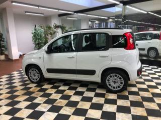 FIAT Panda usata, con Climatizzatore
