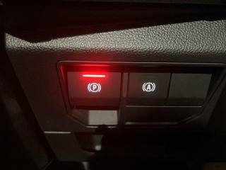 RENAULT Austral usata 29