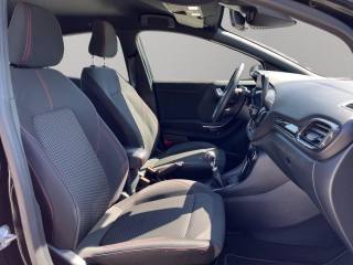 FORD Puma usata, con Fendinebbia