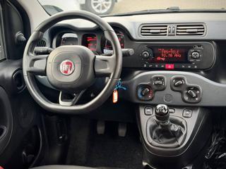 FIAT Panda usata 18