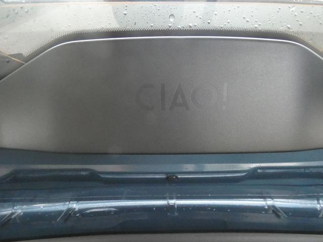 FIAT Grande Panda usata, con Volante multifunzione