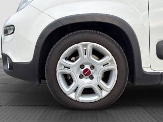 FIAT Panda usata 15
