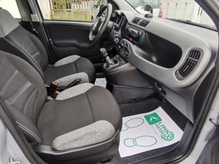 FIAT Panda usata 13