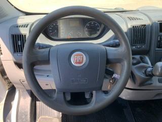 FIAT Ducato usata, con Isofix