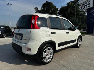 FIAT Panda usata, con Alzacristalli elettrici