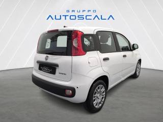 FIAT New Panda usata, con Alzacristalli elettrici