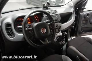 FIAT Panda usata, con Chiusura centralizzata