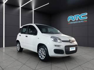 FIAT Panda usata, con Climatizzatore