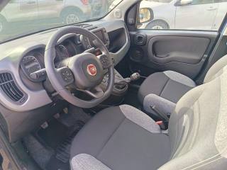 FIAT Panda usata 9