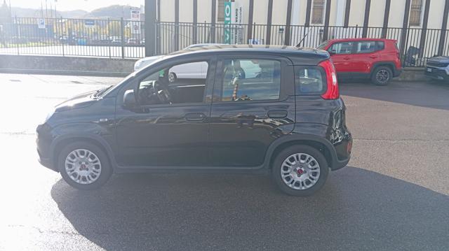 FIAT Panda usata 18
