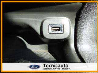 CITROEN C4 Cactus usata, con Airbag testa