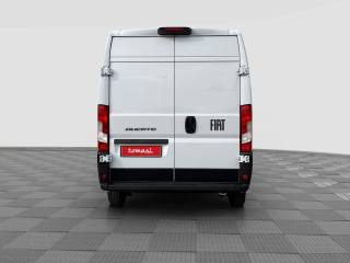 FIAT Ducato usata 3