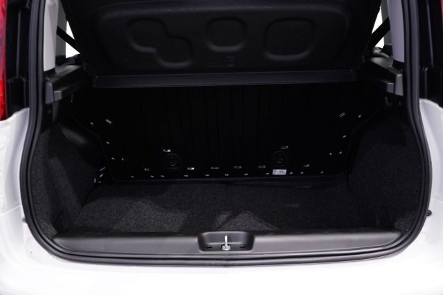 FIAT New Panda usata 25