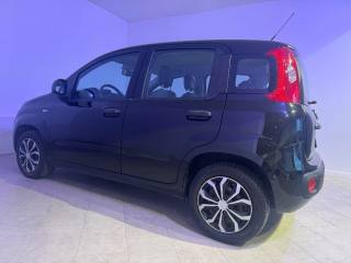 FIAT Panda usata 8