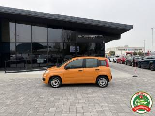 FIAT Panda usata, con Airbag Passeggero
