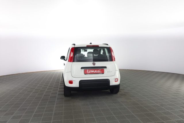 FIAT Panda usata 4